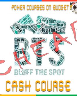 Bluffthespot Cash Game Course