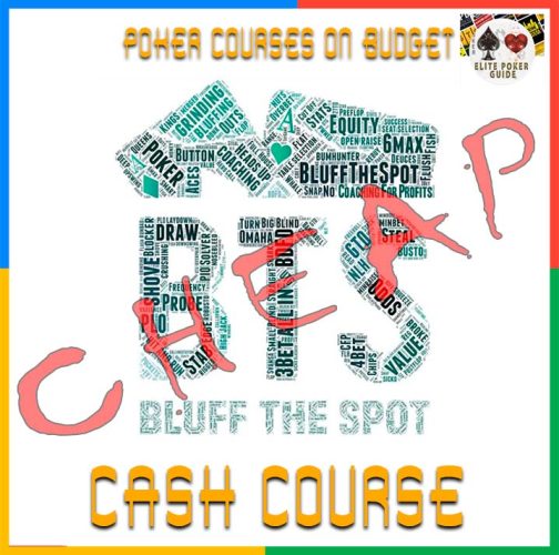 Bluffthespot Cash Game Course