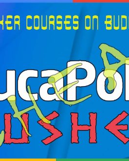 Educapoker Crushers