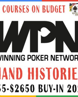 WPN MTT Hand Histories $55-$2650 buy-in 2024