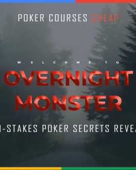 Overnight Monster: High-Stakes Poker Secrets Revealed