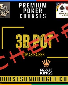 Solver KINGS – Bloque 4 – 3BPots OOP con Iniciativa