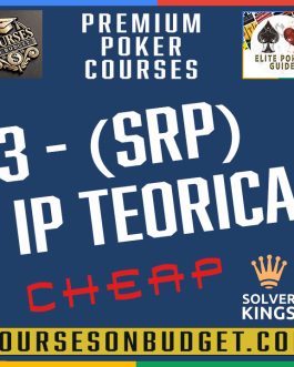 Solver KINGS – Bloque 3 – SRP IP Teorica