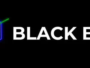 Pokerdetox: BlackBox Ultimate