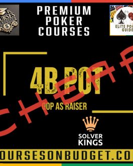 Solver KINGS – Bloque 9 – 4BPots con Iniciativa OOP