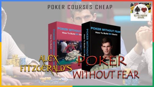 Alex Fitzgerald Poker Without Fear