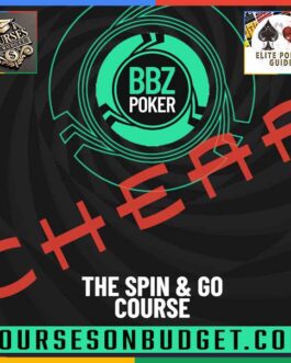 BBZPoker The Spin & Go Course