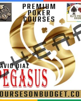 David Diaz Pegasus Curso