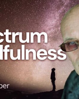 Ken Wilber – Full Spectrum Mindfulness