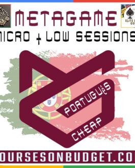 Metagame Poker Micro and Low Stakes Sessions