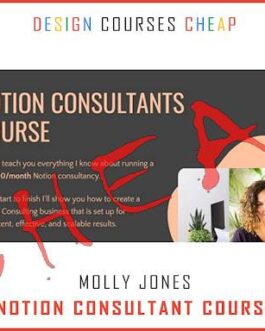 Molly Jones – Notion Consultant Course