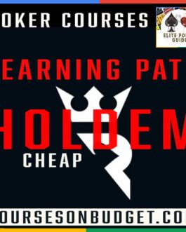 Run It Once Holdem Learning Path 2024