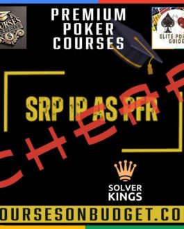 Solver KINGS – Bloque 10 – SRP IP con Iniciativa