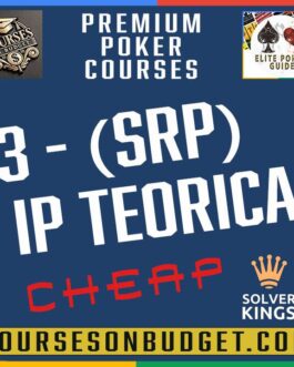 Solver KINGS – Bloque 3 – SRP IP Teorica