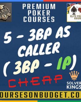 Solver KINGS – Bloque 5 – 3B pot IP as Caller