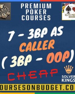 Solver KINGS – Bloque 7 – 3B Pot OOP as Caller