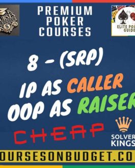 Solver KINGS – Bloque 8 – SRP IP as Caller, OOP as Raiser