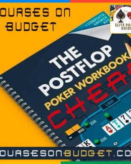 Splitsuit The Postflop Workbook