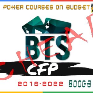 Bluffthespot Coaching For Profits