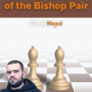 GM Gabuzyan Hovhannes – The Power of Bishop Pair